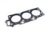Cylinder Head Gasket:11116-20010