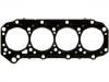 Cylinder Head Gasket:11044-VC100